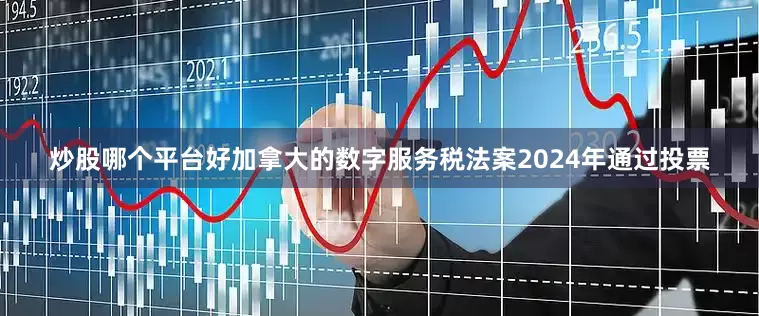 炒股哪个平台好加拿大的数字服务税法案2024年通过投票