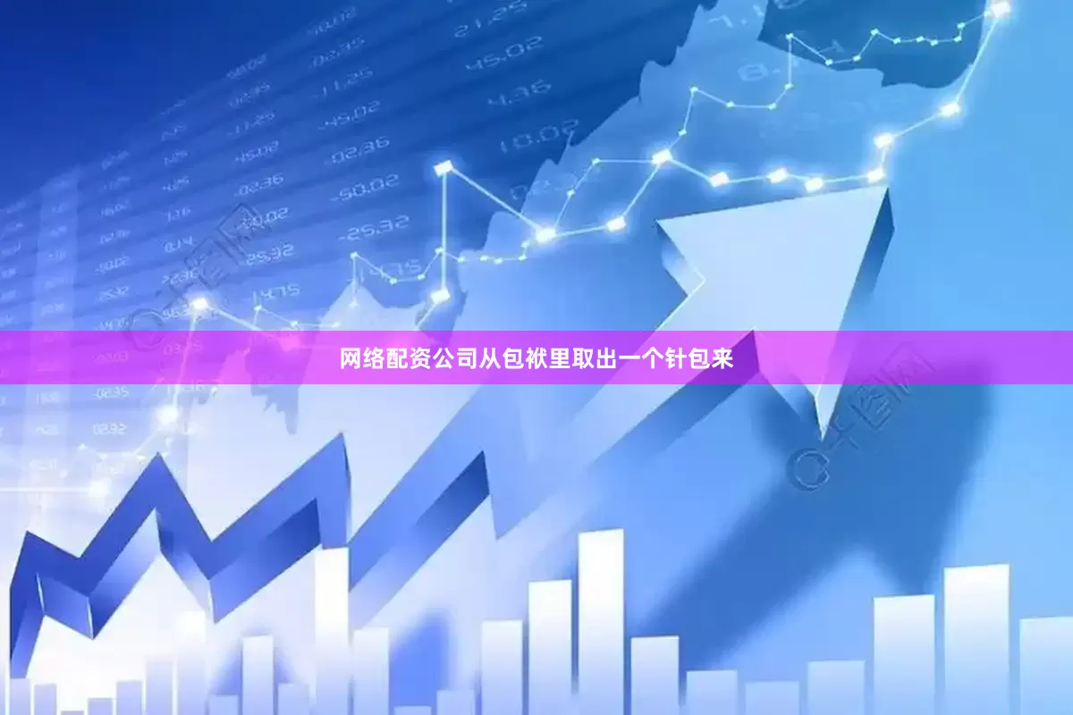 网络配资公司从包袱里取出一个针包来