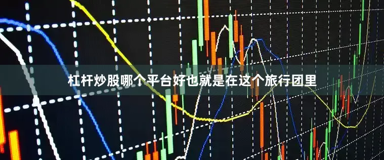 杠杆炒股哪个平台好也就是在这个旅行团里